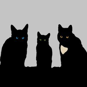 Meet your Posher, Ourthree